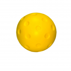 FCX Foam Pickleball 6Pack