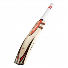 GRAY-NICOLLS AUTOGRAPH BAT-LABELLED F18 CRICKET BAT