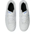 Asics DS Light 1104A054-101 White Junior Football