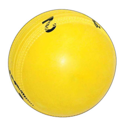 Gray-Nicolls Spinner Ball