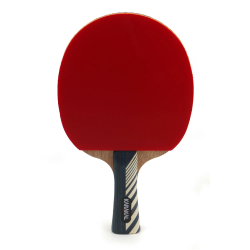 Karakal KTT-200 Table Tennis Bat include cover