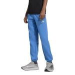 Adidas Essentials Pants – KS0379 Ray Blue (Junior)