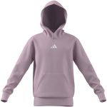 Adidas Essentials Hoodie – JC9773 Pink (Junior)